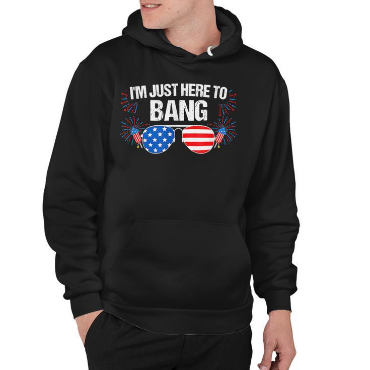 Im Just Here To Bang 4Th Of July Fireworks Director  Hoodie