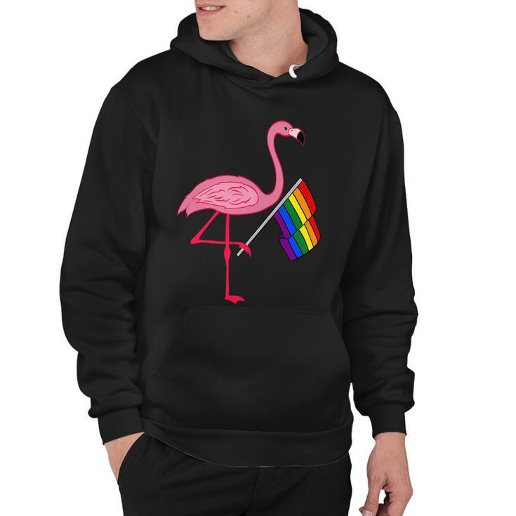 Lgbt Flamingo Pride Flag Hoodie