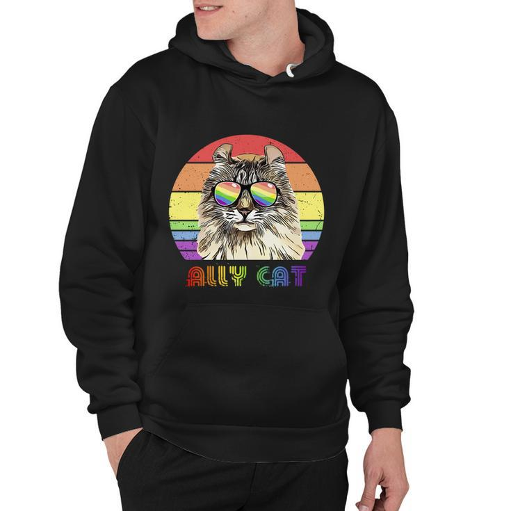 Lgbtq Ally Cat Rainbow Gay Pride Flag Lgbt Funny Gift Hoodie