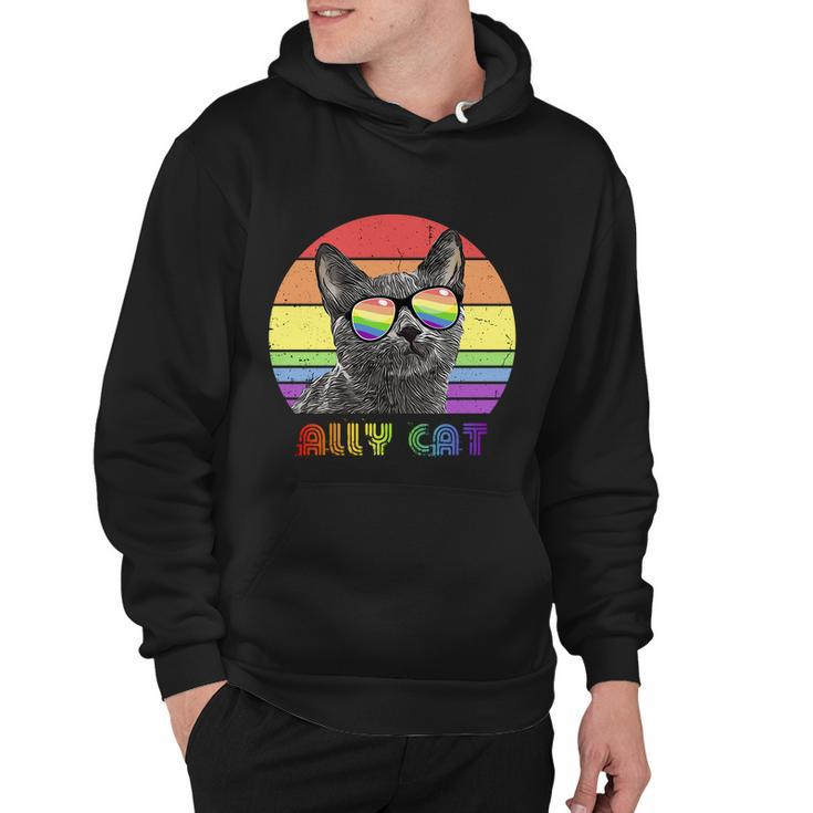 Lgbtq Ally Cat Rainbow Gay Pride Flag Lgbt Funny Gift V2 Hoodie