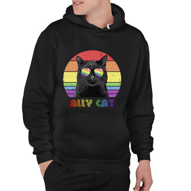 Lgbtq Ally Cat Rainbow Gay Pride Flag Lgbt Gift V3 Hoodie