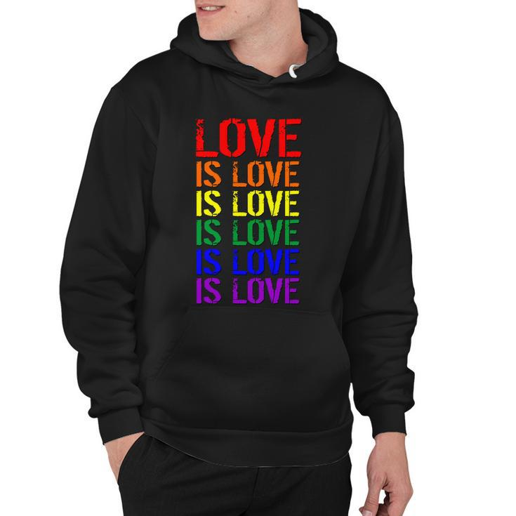 Love Is Love Rainbow Colors Hoodie
