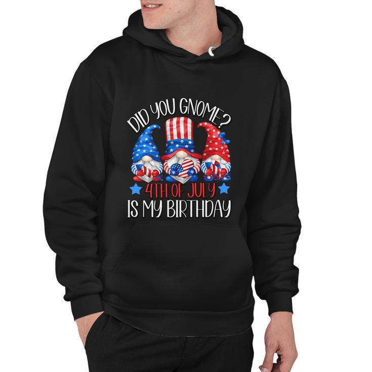 Patriotic Gnome In American Flag Outfit 4Th Of July Birthday Gift Hoodie