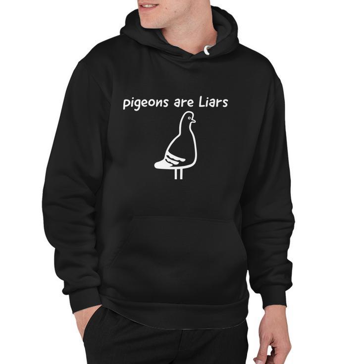 Pigeons Are Liars Tshirt Hoodie