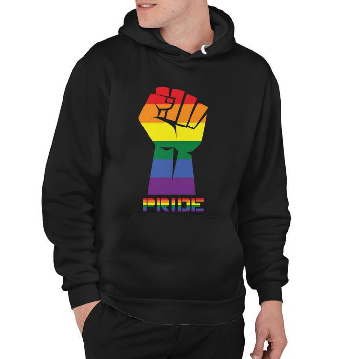 Pride Lgbt Gay Pride Lesbian Bisexual Ally Quote V2 Hoodie