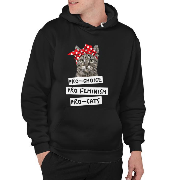 Pro Choice Pro Feminism Pro Cats Shirt Gift Hoodie
