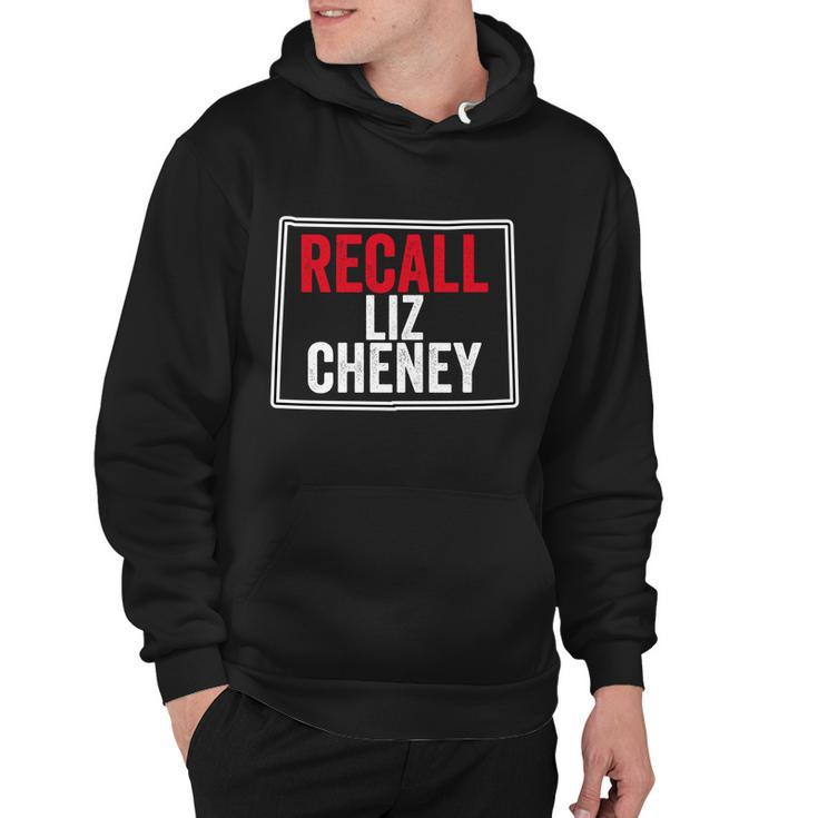 Recall Liz Cheney Anti Liz Cheney Defeat Liz Cheney Funny Gift Hoodie