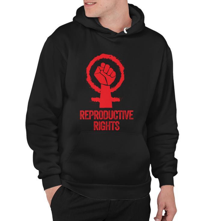 Reproductive Rights Cute Gift V3 Hoodie