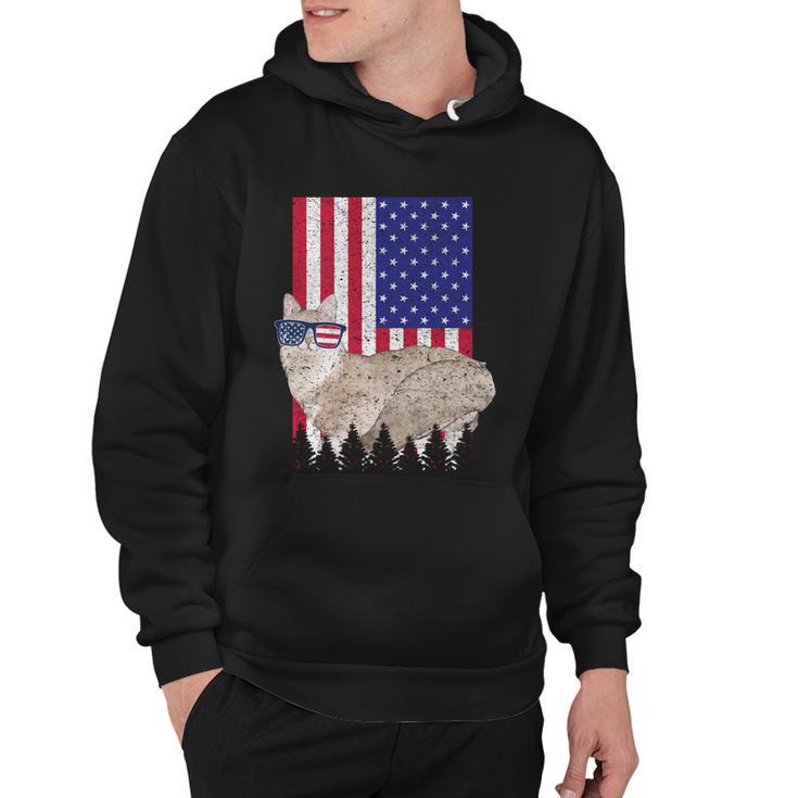 Sausage Patriotic Cat Usa Pride American Flag Funny Gift Hoodie