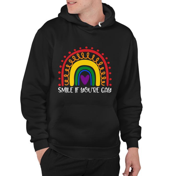 Smile If Youre Gay And Lesbian Lgbtq Ally Rainbow You Belong Gift Hoodie