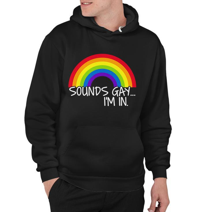 Sounds Gay Im In Funny Lgbt Tshirt Hoodie