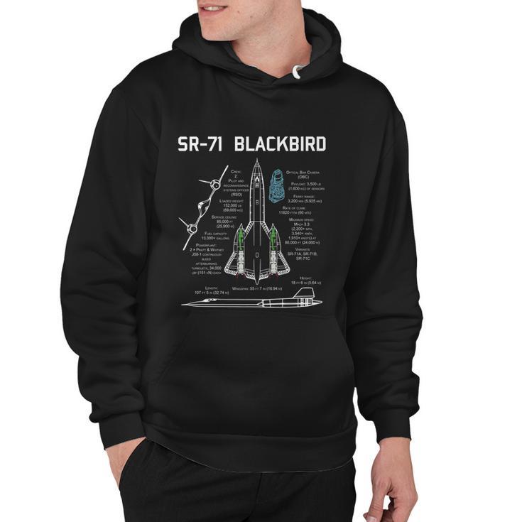 Sr-71 Blackbird Est 1966 Vintage Logo Hoodie - Monsterry AU