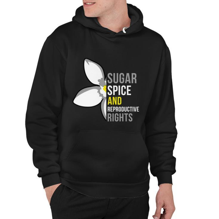 Sugar Spice And Reproductive Rights Funny Gift Hoodie