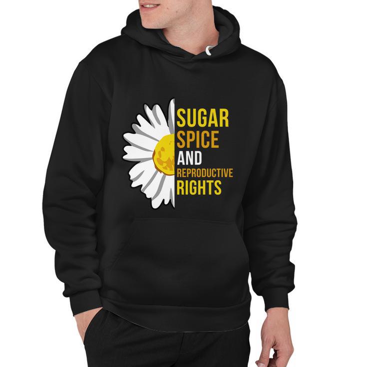 Sugar Spice And Reproductive Rights Gift Hoodie