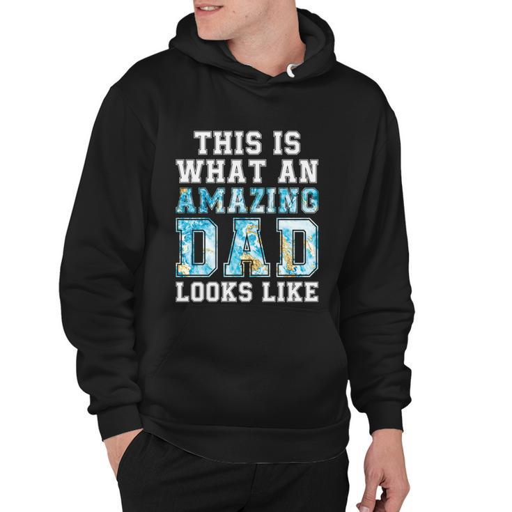 This Is What An Amazing Dad Looks Like Funny Gift Hoodie