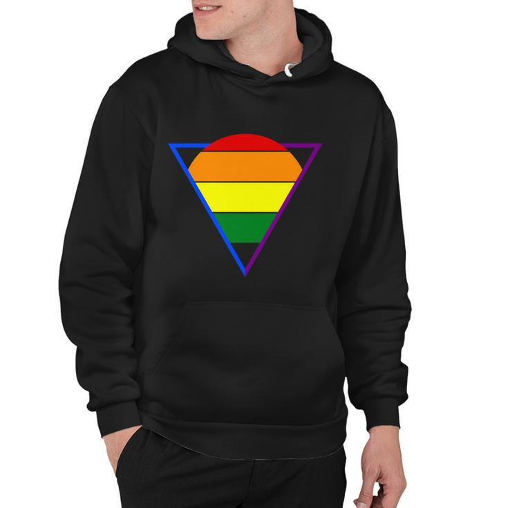 Triangular Lgbt Gay Pride Lesbian Bisexual Ally Quote Hoodie