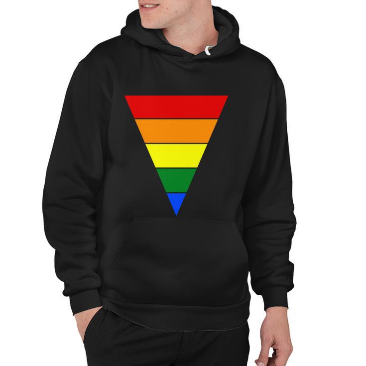 Triangular Lgbt Gay Pride Lesbian Bisexual Ally Quote V2 Hoodie