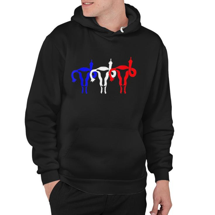 Uterus Shows Middle Finger Feminist Blue Red 4Th Of July V2 Hoodie