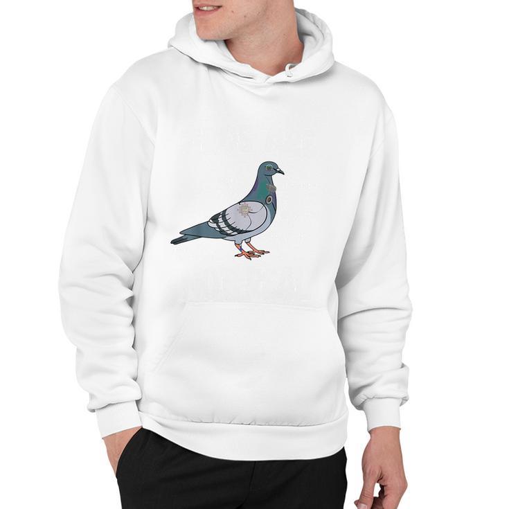 Birds Are Not Real Diagram Hoodie