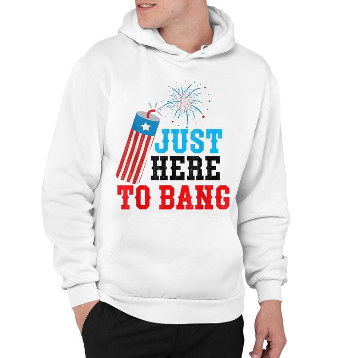 Funny Fourth Of July 4Th Of July Im Just Here To Bang  Hoodie