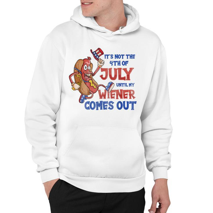 Its Not A Party Until My Wiener Comes Out 4Th Of July Wiener  V2  Hoodie