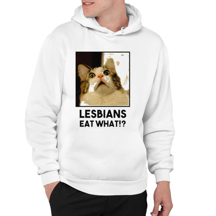 Lesbian Eat What Funny Cat Hoodie