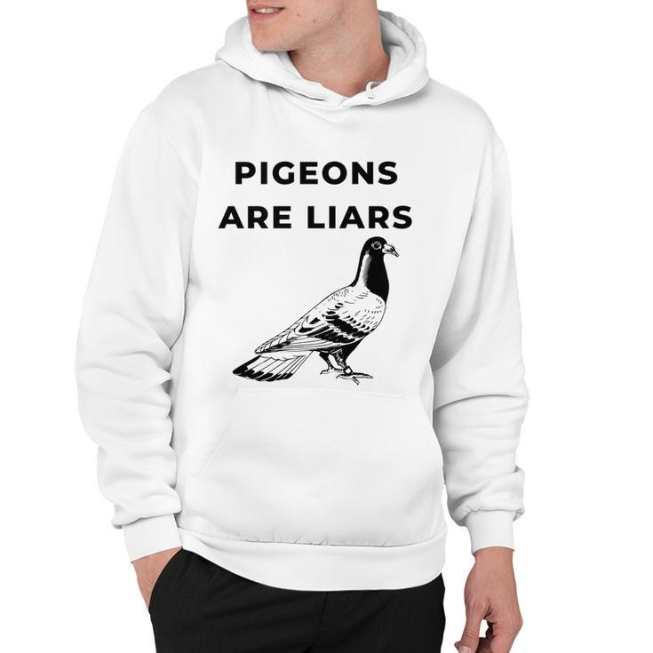 Pigeons Are Liars Tshirt Hoodie