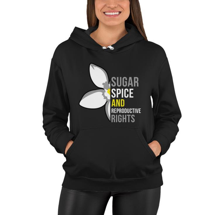 Sugar Spice And Reproductive Rights Funny Gift Women Hoodie