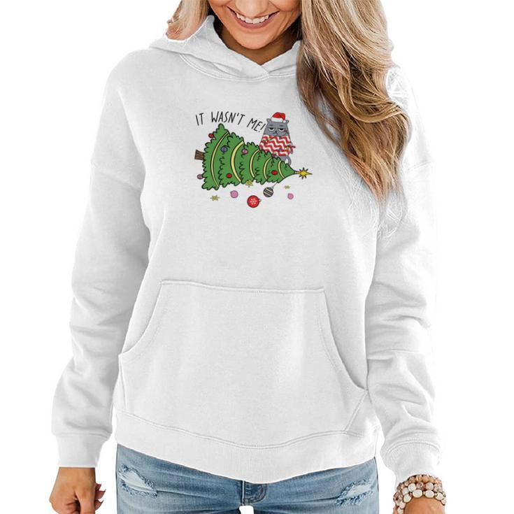 Christmas Funny Cat It Was Not Me Gift For Cat Lovers Women Hoodie Graphic Print Hooded Sweatshirt