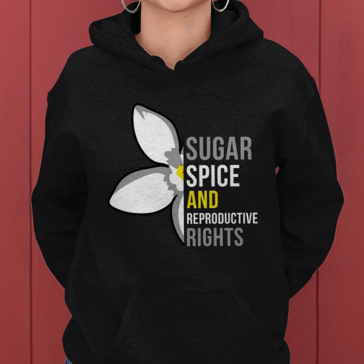 Sugar Spice And Reproductive Rights Funny Gift Women Hoodie