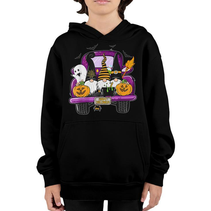 Boo Pumpkin Witch Gnomes In Halloween Truck Funny Holiday  Youth Hoodie