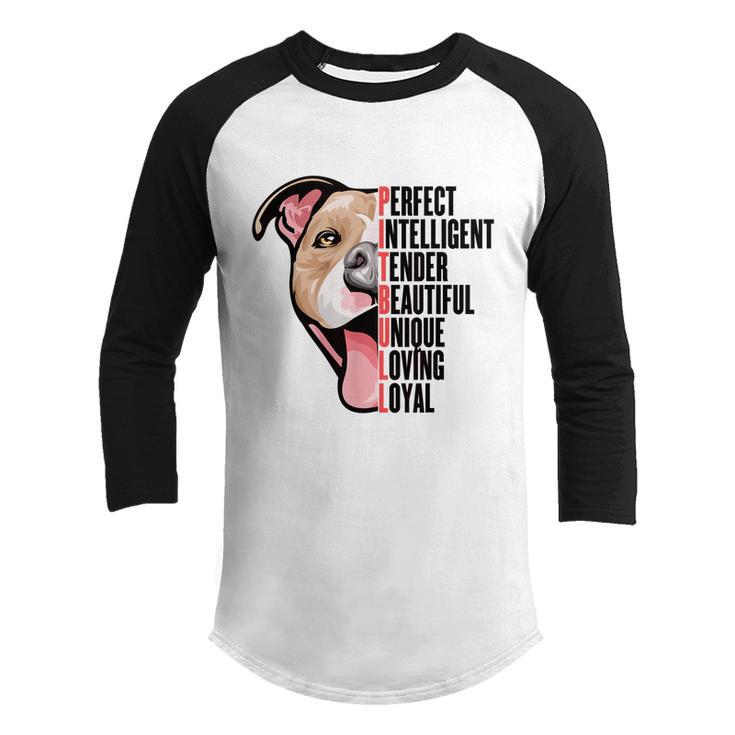 Pitbull Proud Pitbull Owners Top Kids Youth Raglan Shirt