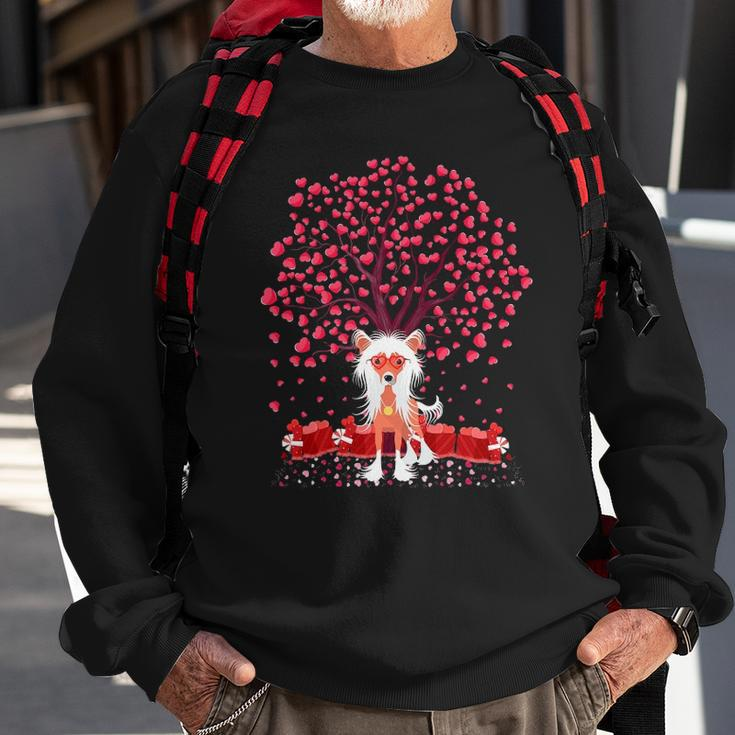 Chinese Crested Dog Lover Chinese Crested Valentine&8217S Day Sweatshirt Gifts for Old Men