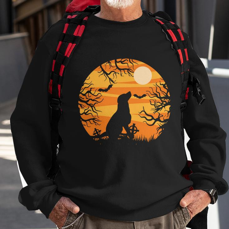 Dog Dracula Funny Halloween Quote Sweatshirt Gifts for Old Men