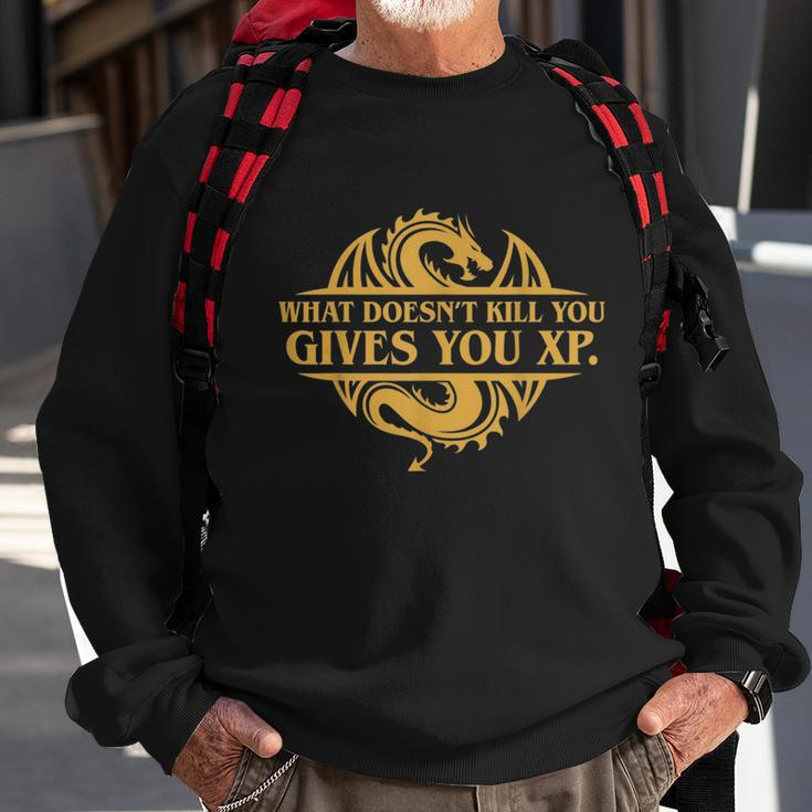 Dungeons And Dragons What Doesnt Kill You Gives You Xp Tshirt Sweatshirt Gifts for Old Men