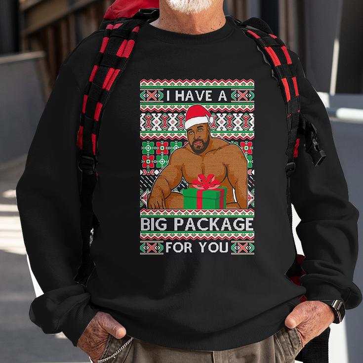 Funny I Have A Big Package For You Ugly Christmas Sweater Tshirt Sweatshirt Gifts for Old Men