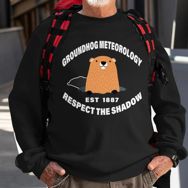 Groundhog Meteorology Respect The Shadow Tshirt Sweatshirt Gifts for Old Men