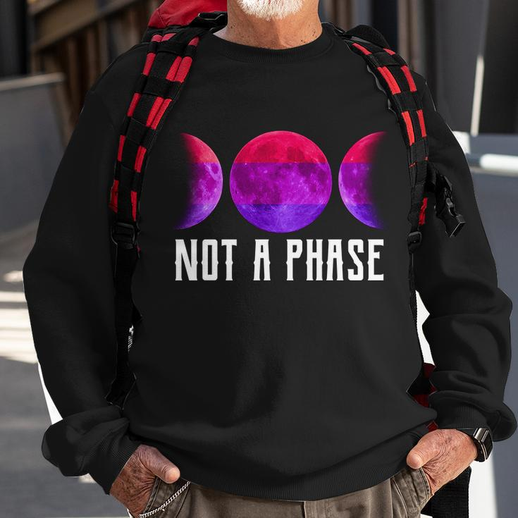 Not A Phase Bi Pride Bisexual Sweatshirt Gifts for Old Men
