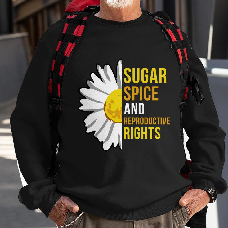 Sugar Spice And Reproductive Rights Gift Sweatshirt Gifts for Old Men