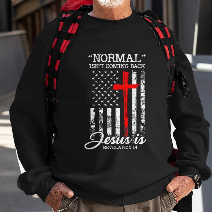 Usa Flag Normal Isnt Coming Back But Jesus Is Revelation Sweatshirt Gifts for Old Men