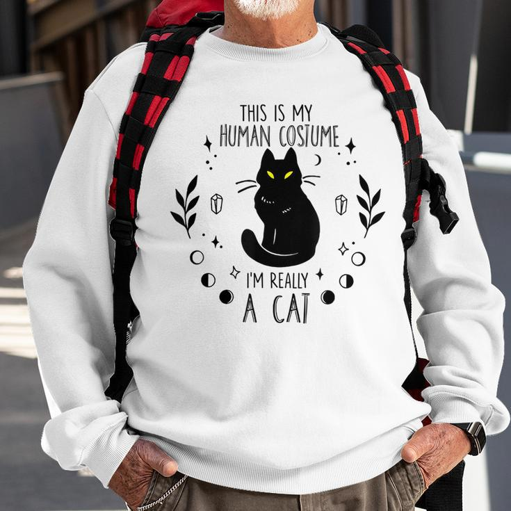 This Is My Human Costume Im Really A Cat Halloween Costume Sweatshirt Gifts for Old Men