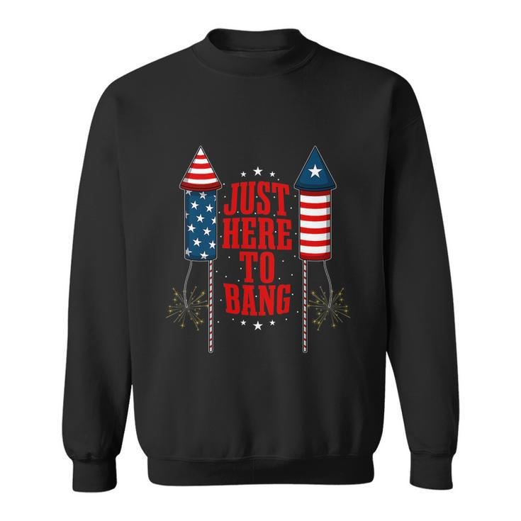 4Th Of July Funny Fireworks Patriotic American Firecracker Sweatshirt