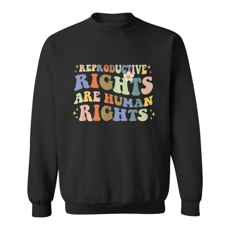 Aesthetic Reproductive Rights Are Human Rights Feminist V2 Sweatshirt