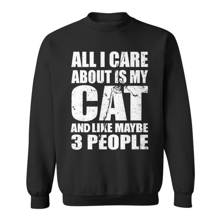 All I Care About Is My Cat And Like 3 People Tshirt Sweatshirt