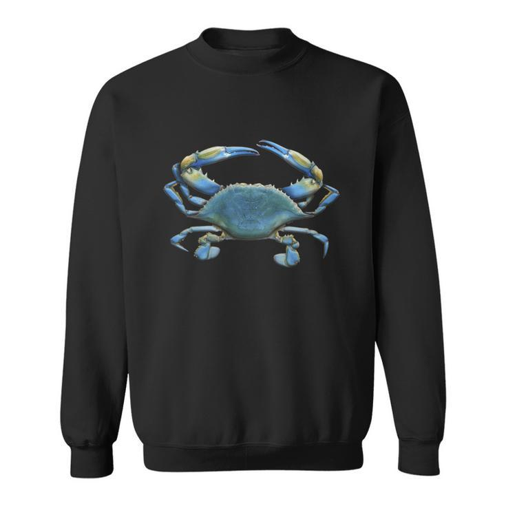 Blue Crab 3D Tshirt Sweatshirt