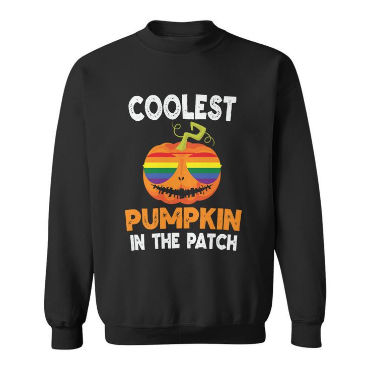 Coolest Pumpkin In The Patch Lgbt Gay Pride Lesbian Bisexual Ally Quote Sweatshirt