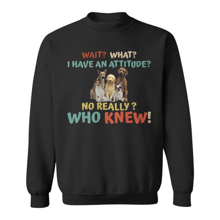 Dog Dog Attitude Really 101 01 Copy Sweatshirt