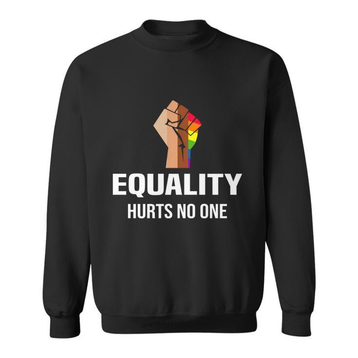 Equality Hurts No One Lgbt Human Rights Gift Sweatshirt