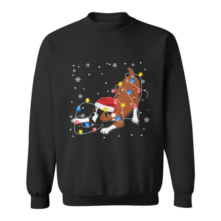 Funny Boxer Santa Hat Christmas Lights Xmas Dog Lover Owner Gift Sweatshirt