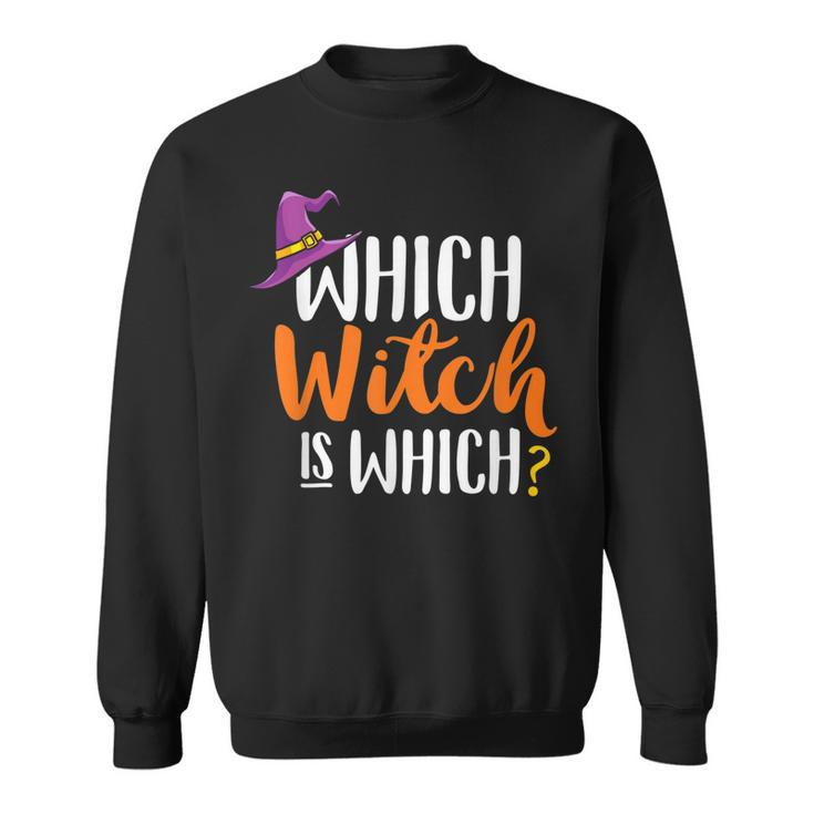Funny Grammar Halloween Teachers  Which Witch Is Which  Sweatshirt